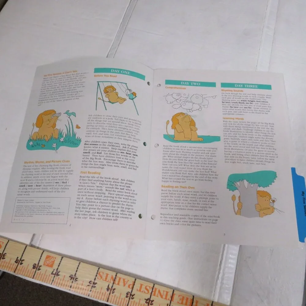 My Five Seasons A Lion’s Tale BIG BOOK (almost 2 feet tall) with teacher pages